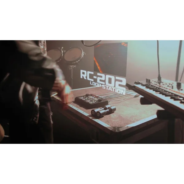 RC-202 Loop Station