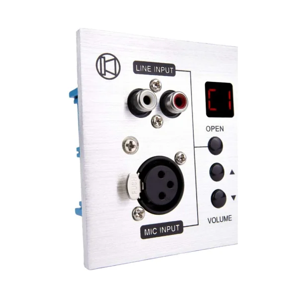 RONDSON AMX-4C – Platine murale d’animation avec entrée micro, ligne et Bluetooth