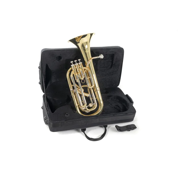 Roy Benson Bb-Baritone Roy Benson BH-302 - BH-302