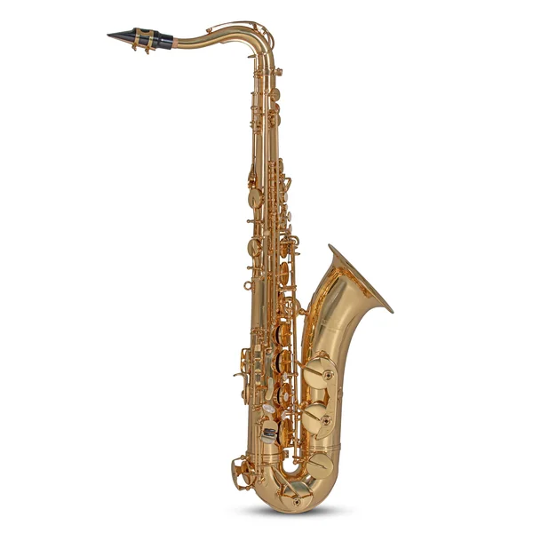 Roy Benson Bb-Tenor Saxophone Roy Benson TS-302 - TS-302