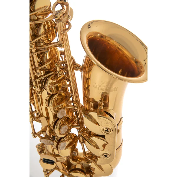 Roy Benson Eb-Alto Saxophone Roy Benson AS-302 - AS-302