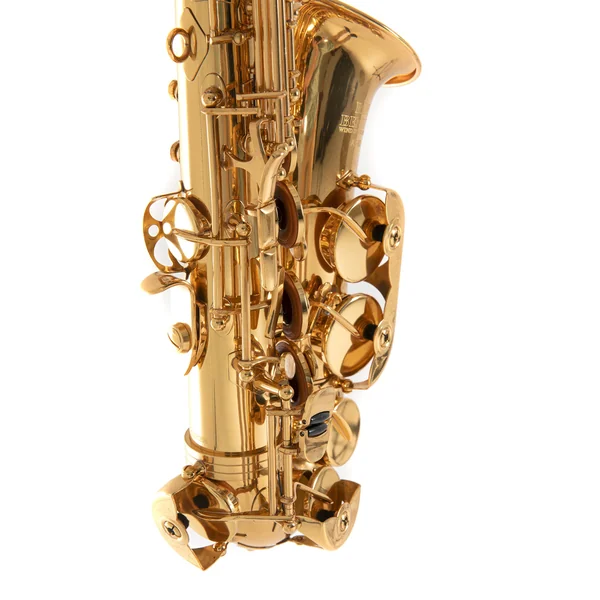 Roy Benson Eb-Alto Saxophone Roy Benson AS-302 - AS-302