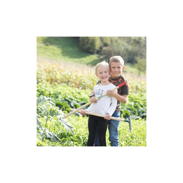 Râteau Plastique Enfant manche bois certifié PEFC 100% - Leborgne