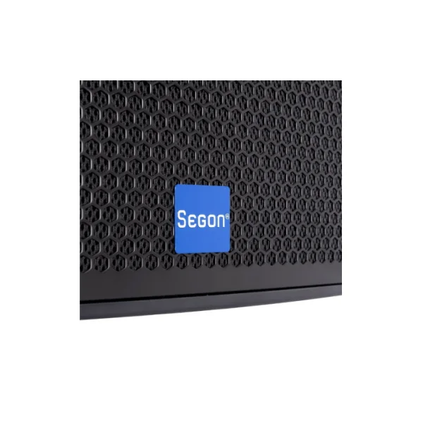 SEGON JS-FWT12 – Enceinte compacte extérieure 2 voies coaxiale 300 W IP66 (blanc ou noir)