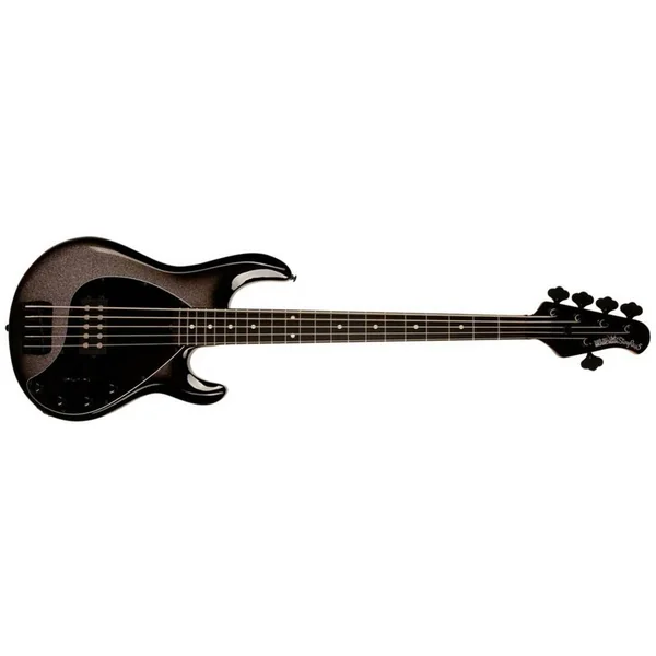 StingRay Special H 5-String (EB) +Gig Bag - smoked chrome
