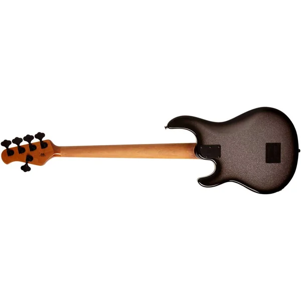 StingRay Special H 5-String (EB) +Gig Bag - smoked chrome