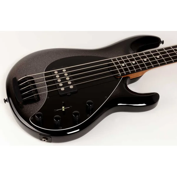 StingRay Special H 5-String (EB) +Gig Bag - smoked chrome
