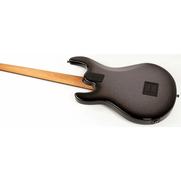 StingRay Special H 5-String (EB) +Gig Bag - smoked chrome