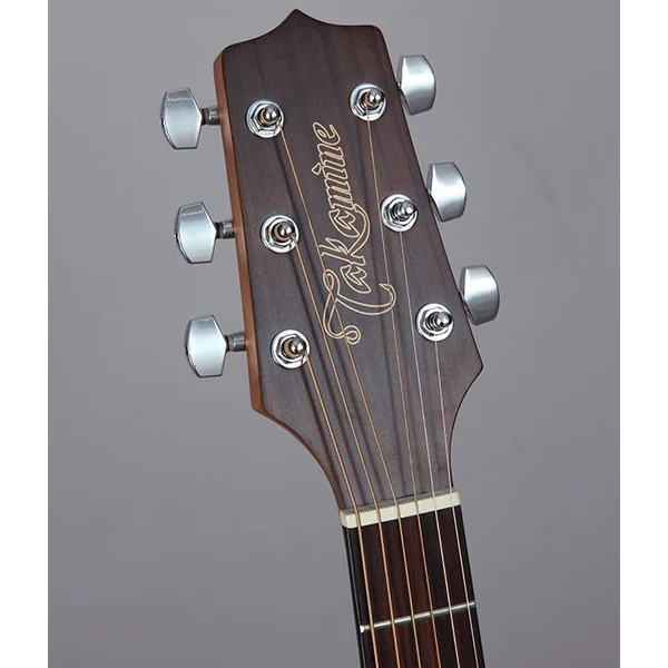 Takamine GD11M-NS Guitares Western (Naturel)