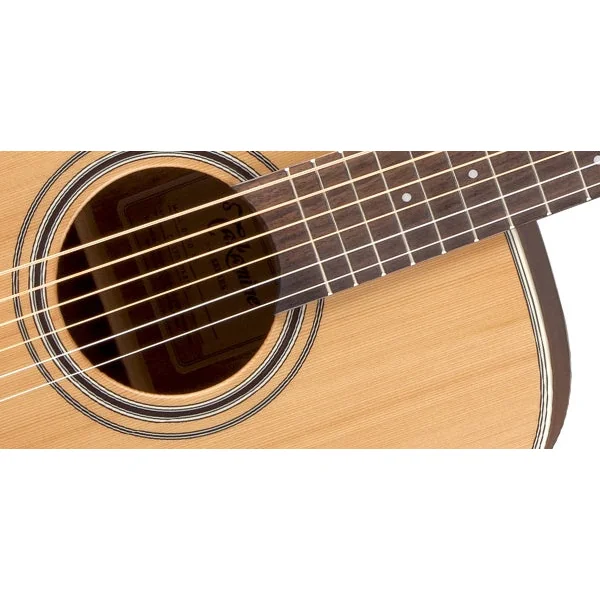 Takamine GD20-NS Western Guitar (Natural)