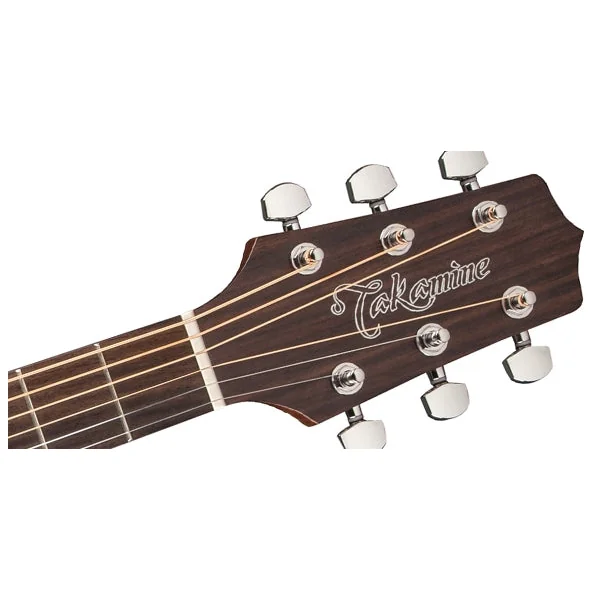 Takamine GD20-NS Western Guitar (Natural)