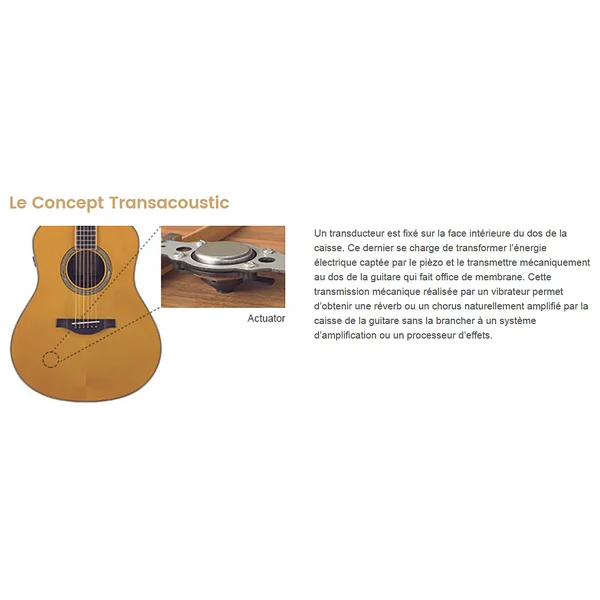 Transacoustic LL-TA - vintage tint