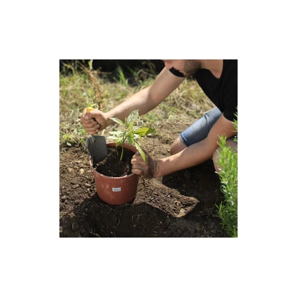 Transplantoir à dents manche bi-matière duopro - Leborgne
